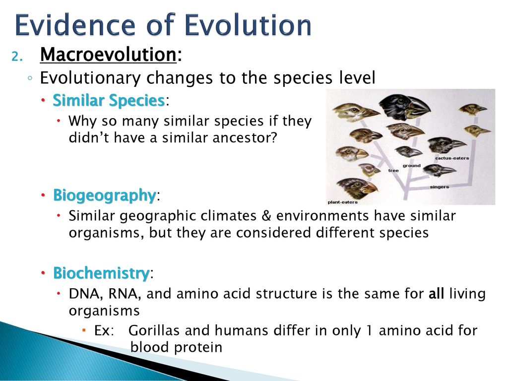 Evidence Of Evolution Types Of Evolution Insecticide Resistance